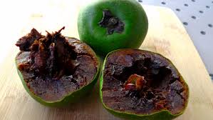 Diospyros Digyna Growing Black Sapote Fruit Nutrition Facts Chocolate Pudding Fruit Lentil Nutrition Facts