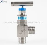 Hongji Transmitter Instrument High Pressure Forged Stainless Steel Angle  Type Male Thread NPT Needle Valve