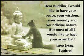This Makes Me So So Happy Buddha Squirrel Divine Nature