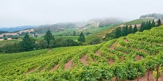 Climate zones © frances michaels. Why Cool Climate Wines Should Be Your Go To Bottles Vinepair