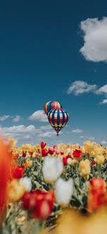 Colorful outdoor backgrounds can help you to feel relaxed or energized for the rest of the day. Spring Wallpapers For Iphone Hd Quality Spring Backgrounds Anastasia Spring Wallpaper Spring Background Spring Wallpaper Hd