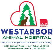 Find the most relevant information, video, images, and answers from all across the web. Recent Jobs American Animal Hospital Association Career Center