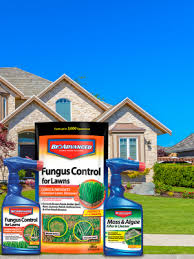 Bioadvanced Fungus Control For Lawns Instructions Bioadvanced 32 Fl Oz Hose End Sprayer Concentrated Moss Control In The Moss Algae Fungus Control Department At Lowes Com