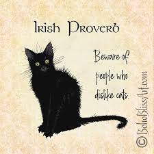 Irish Proverb Beware Of People Who Dislike Cats Choice Of 4 Etsy In 2021 Cats Crazy Cats Black Cat Art