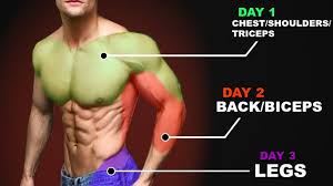 They are categorized by the muscles which they affect (primary and secondary), as well as the equipment required. The Best Workout Routine For Teens Based On Science Youtube