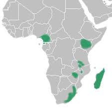 Image result for Brownleea mulanjiensis