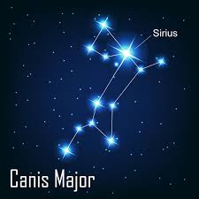 Buddha's gautamas of december 24, 2014 sanat kumara of december 20, 2016 beloved alpha dated december 21, 2016 sirius. 15 Starry Facts About The Sirius Star You Definitely Didn 39 T Know Sirius Star Constellations Sirius