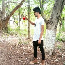 Plant cells and animal venn diagram jose mulinohouse co. A Venn Diagram On Plant And Animal Cell Brainly In