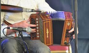 Traditional irish music is known today throughout the world. Irish Traditional Music The Accordion And The Concertina The Irish Place