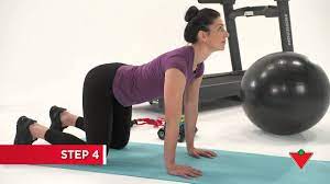 The cat and camel back is a gentle exercise that stretches and strengthens the muscles that stabilize the spine, including the back extensors and abdominals. How To Do A Cat Camel Stretch 5 Steps Youtube
