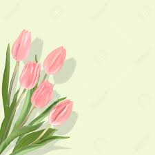 Light Pink Tulips On A Light Green Background Spring Flowers Royalty Free Cliparts Vectors And Stock Illustration Image 56732350 1300 x 1390 jpeg 552 кб. light pink tulips on a light green background spring flowers