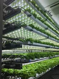 Take A 3d Tour Of A Vertical Farm Packed Inside A Shipping Container Indoor Farming Home Hydroponics Hydroponic Gardening System