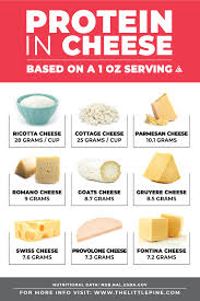 Cheese Protein A K A Casein What You Should Know