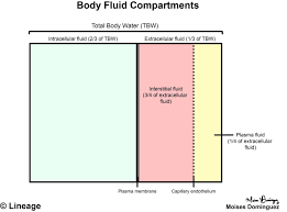 Body Fluid Compartments Renal Medbullets Step 1