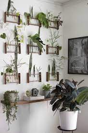 Our Favorite Plant Displaying Ideas Of All Time Apartment Therapy Plant Display Ideas Indoor Plant Wall Plant Wall