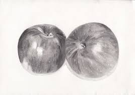 Gambar buah apel sketsa a photo on flickriver. Lukisan Buah Buahan Pensil Cikimm Com