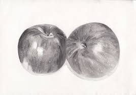 20 trend terbaru sketsa gambar mozaik buah apel the toosh. Lukisan Buah Buahan Pensil Cikimm Com