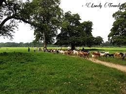 Visiting Gorer Math Kolkata Lonely Traveler I am only able to help with one math problem per session. visiting gorer math kolkata lonely