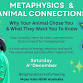 Metaphysics & Animal Connections - with Debs Carling event image