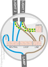 Assuming your two way switch wiring uses the 'new' core cable colours i.e brown (live), blue (neutral) and green/yellow (earth) for cables a, b & c then fig.1 shows the most common way your ceiling rose will be connected. Multiple Lights From A Single Switch