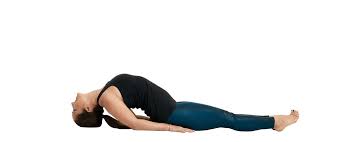 Check spelling or type a new query. The Health Benefits Of Matsyasana Fish Pose