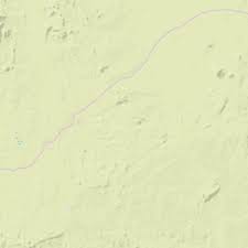 Image result for Hypertelis cerviana