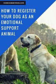 National service animal registry provides information on laws and legal topics related to service animals and emotional support animals and is designed for informational purposes only, and, while believed to be accurate, is provided strictly as is, without warranty of any kind. How To Register My Dog As An Emotional Support Animal Arxiusarquitectura