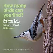 The 22nd great backyard bird count (gbbc) will take place from friday, february 15 through monday, february 18. Great Backyard Bird Count Smith Gilbert Gardens