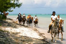 20 Ultimate Things To Do In The Cayman Islands Fodors Travel Guide