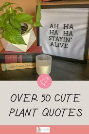 31/2 x 3 1/2 is the perfect size for a gift planter we have 2x2 which are great but if u want a little more these are for you. Funny Plant Quotes Funny Garden Quotes The Gifted Gabber
