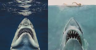 When a killer shark unleashes chaos on a beach community, it's up to a local sheriff, a marine biologist, and an old seafarer to hunt the beast down. Photographer Captures Stunning Great White Shark Photo That Resembles Jaws Movie Poster Techeblog