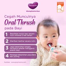 Jamur ini adalah jamur yang normalnya hidup pada mulut dan saluran cerna manusia. Prenagen World Meski Disebabkan Oleh Infeksi Jamur Facebook