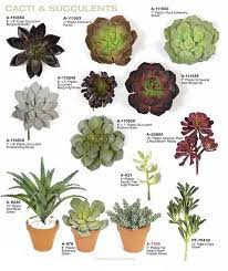 But they're so fascinating you won't be able to forget them. Fake Indoor Succulent Plants Artificial Cactus Succulents Indoors Succulents Plants Planting Succulents