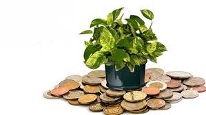 Maybe you would like to learn more about one of these? 40 Vastu Shastra Tips For Home For Better Life Prosperity