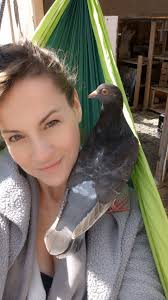 Rooster sound effect in s2e4 of Friends