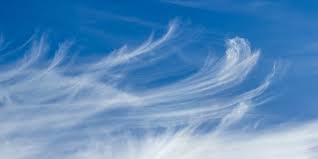 Stratus clouds look like flat sheets of clouds. Cirrus Clouds Met Office