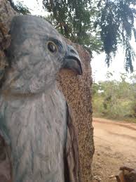 Pin By Ravigon On My Pin Eagle Rock Animals