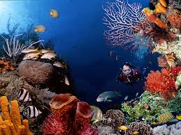Wow 30 gambar pemandangan alam pedesaan asli. Lukisan Dasar Laut Yang Unik Cikimm Com