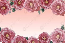 Acquista online o vieni a trovarci al mercatino dell'usato bra Fiori Rosa Cornice Foto D Archivio Crushpixel