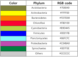 Image result for Phyla