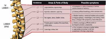 Ankylosing spondylitis, a form of arthritis. Common Conditions Lower Back Pain Chichester Chiropractic Health