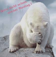 Montag Bilder Montag Gb Pics Montagsbilder Lustig Guten Morgen Bilder Tiere Guten Morgen Witzig