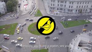 Unii dintre aspirantii la permisul de. Scoala De Soferi Ploiesti Youtube