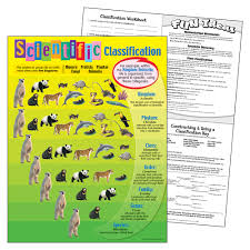 65 Rational Animal Scientific Classification Chart