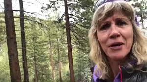 What are some of your non-negotiables? How do you stay sane and grounded  when craziness happens? , Here's one of mine... a walk in the woods. Every  day I set time aside for a wander