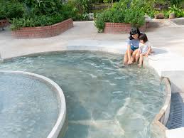 Factory outlets in hot springs. Sembawang Hot Spring Park Parks Nature Reserves Gardens Parks Nature National Parks Board Nparks
