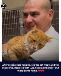 Microchips work! 7 years! ❤️