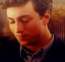 James Potter x reader where the readers parents found out about the two of  them dating and very much disapprove as they support...