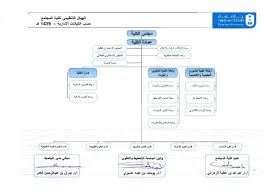 الهيكل التنظيمي كلية المجتمع