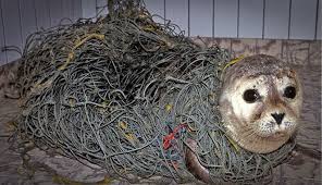 Hancur badan dikandung tanah, budi baik. Boombastis Page 881 Of 1371 Boombastis Com Adalah Portal Berita Unik Aneh Dan Viral Terbaru Di Indonesia Teman Inspirasi Dan Hiburan Anak Muda Dari Masa Ke Masa